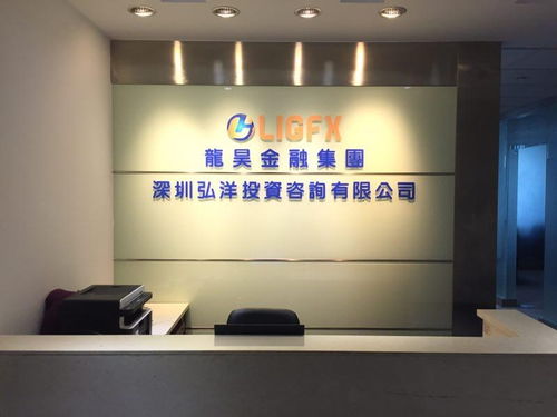 深圳弘洋投资咨询 专业投资管理服务助力企业发展